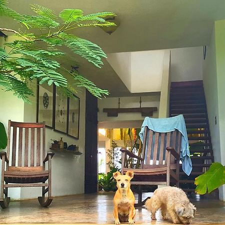 El Hotelito At The Rainforest Experience Farm Fajardo Kültér fotó
