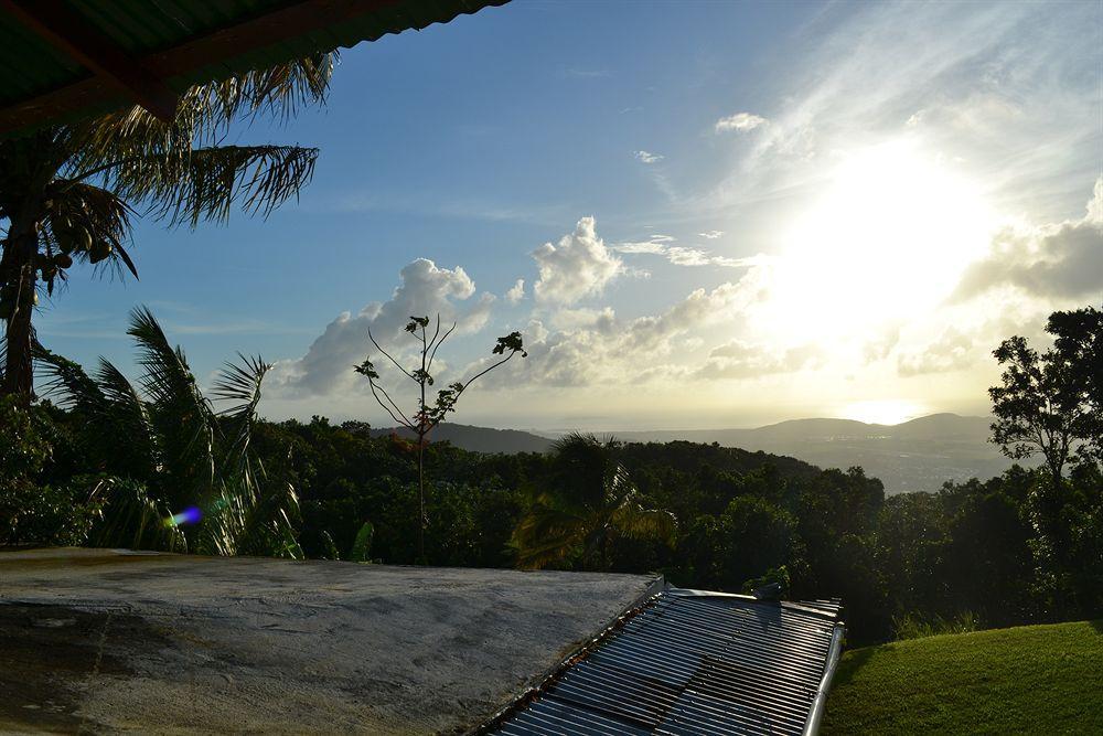 El Hotelito At The Rainforest Experience Farm Fajardo Kültér fotó