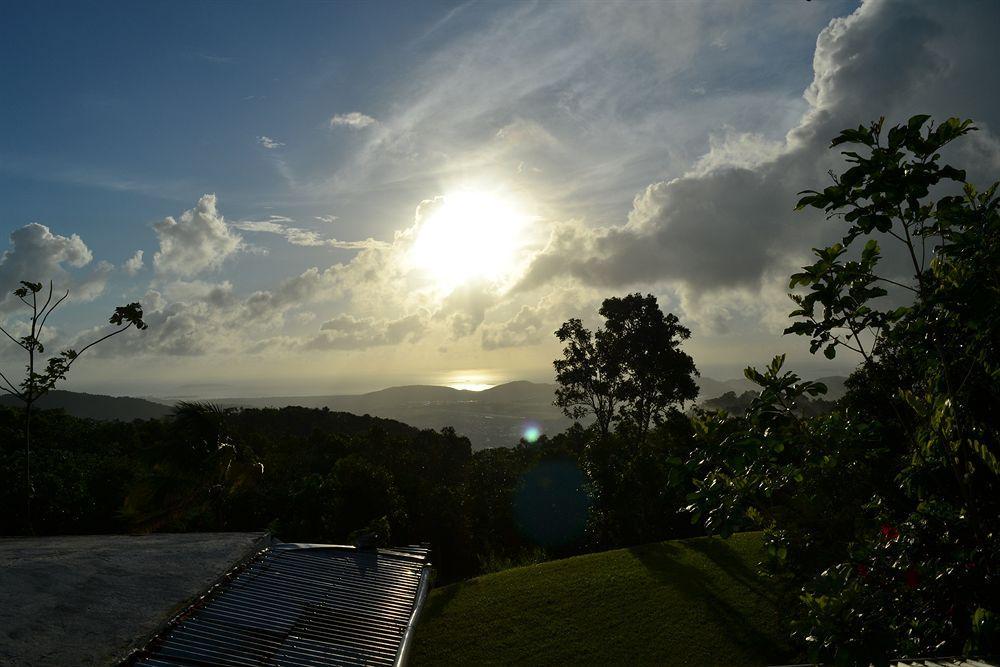 El Hotelito At The Rainforest Experience Farm Fajardo Kültér fotó