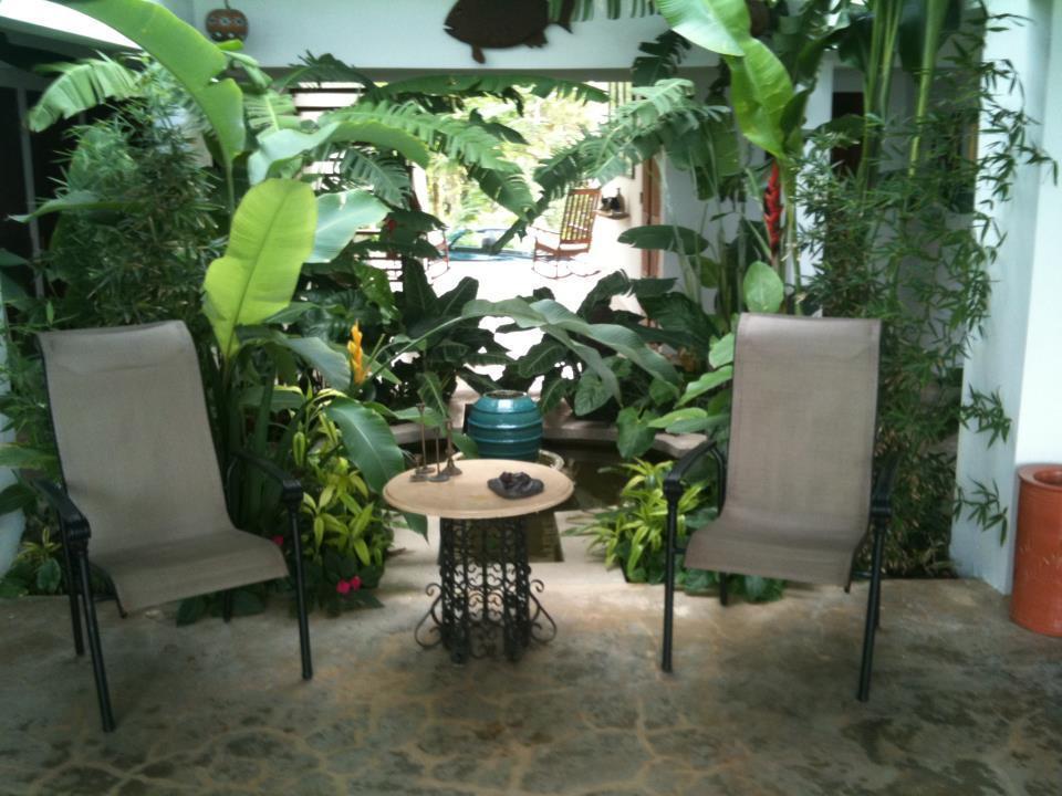 El Hotelito At The Rainforest Experience Farm Fajardo Kültér fotó