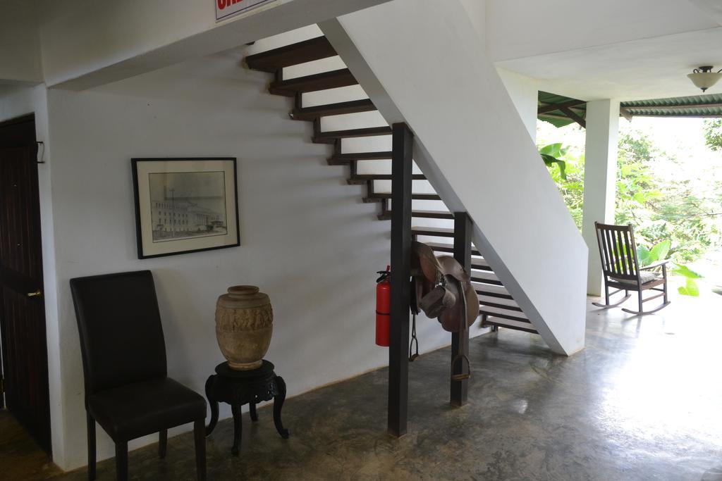 El Hotelito At The Rainforest Experience Farm Fajardo Kültér fotó