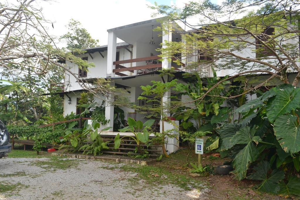 El Hotelito At The Rainforest Experience Farm Fajardo Kültér fotó