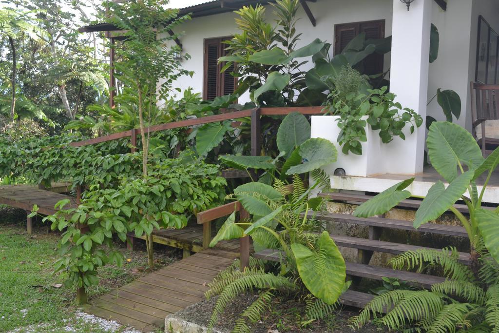 El Hotelito At The Rainforest Experience Farm Fajardo Kültér fotó
