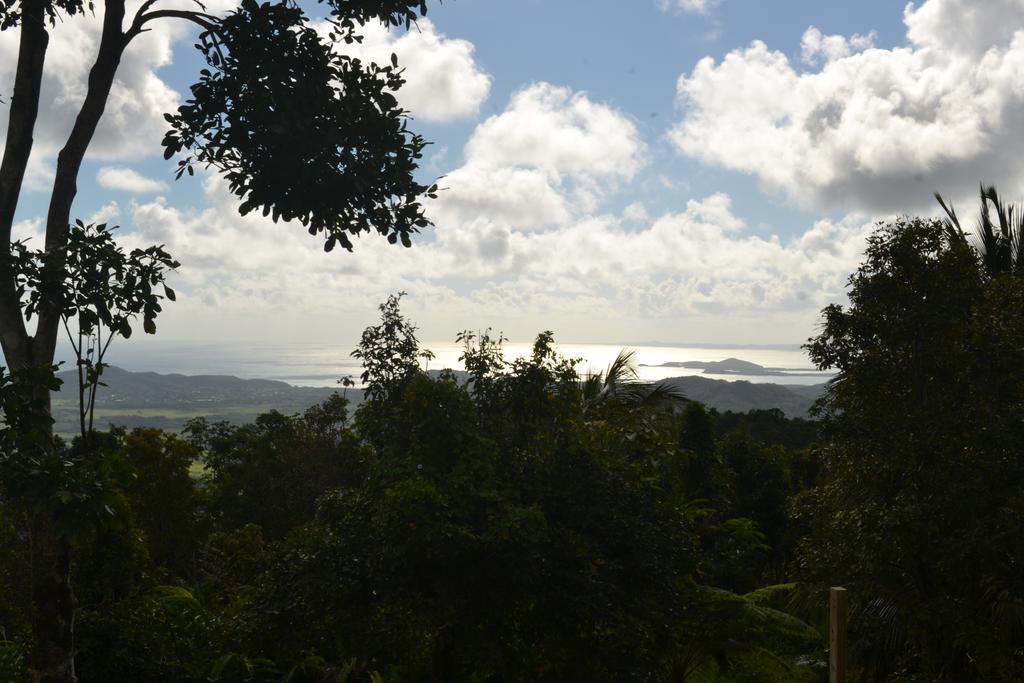 El Hotelito At The Rainforest Experience Farm Fajardo Kültér fotó