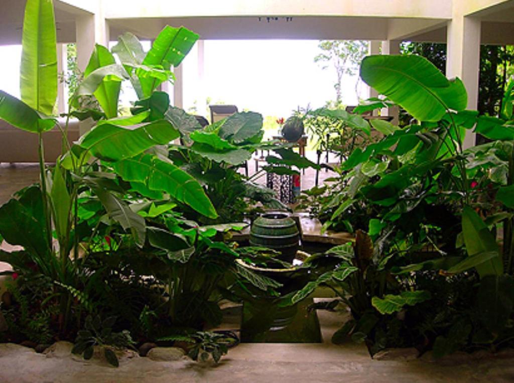 El Hotelito At The Rainforest Experience Farm Fajardo Kültér fotó