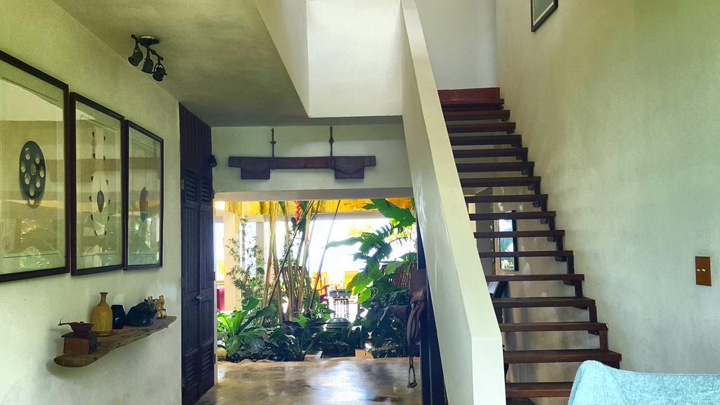 El Hotelito At The Rainforest Experience Farm Fajardo Kültér fotó