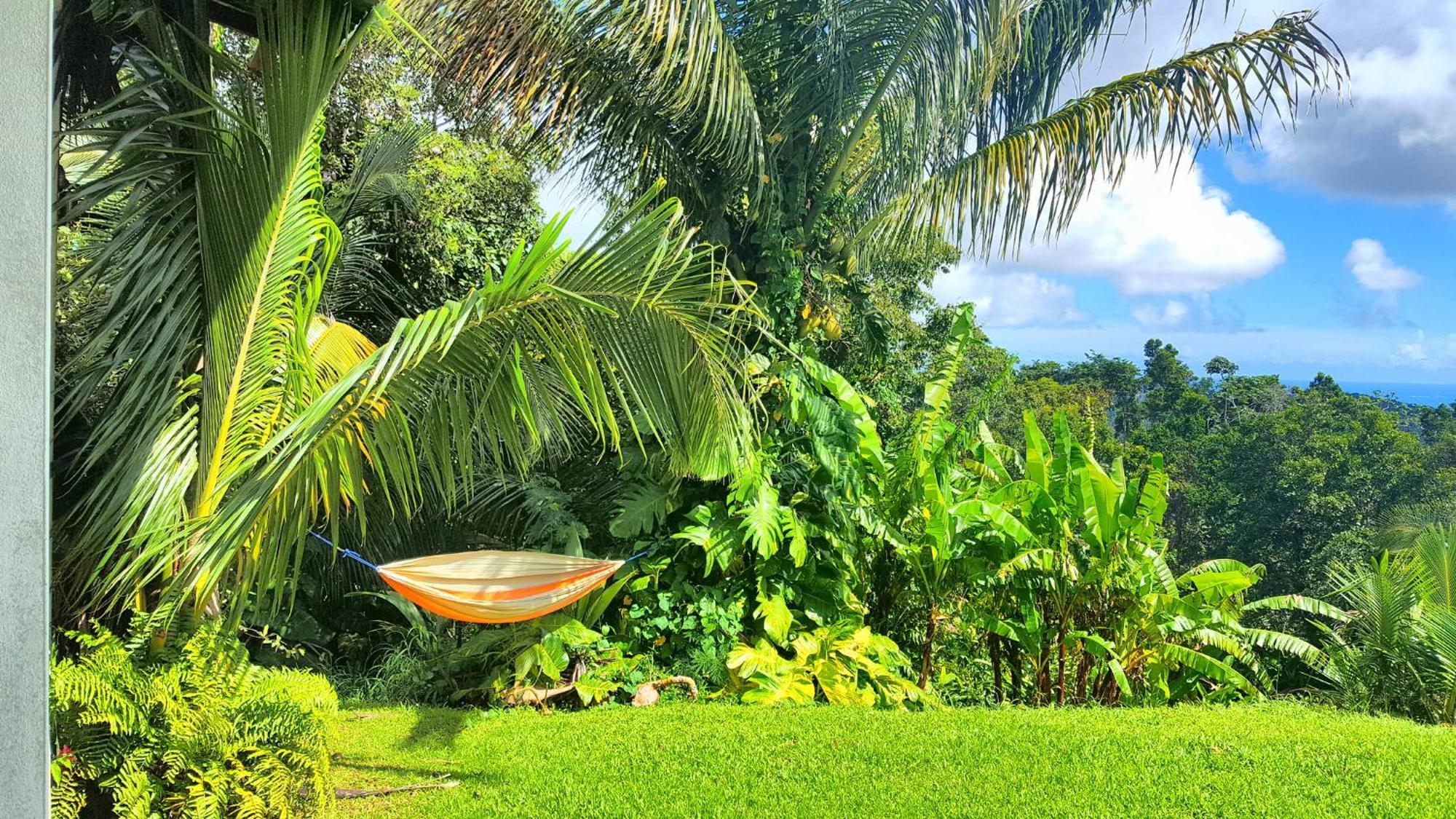 El Hotelito At The Rainforest Experience Farm Fajardo Kültér fotó