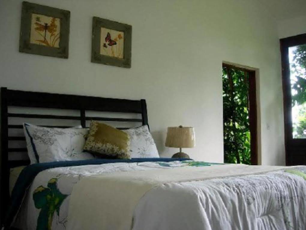 El Hotelito At The Rainforest Experience Farm Fajardo Kültér fotó